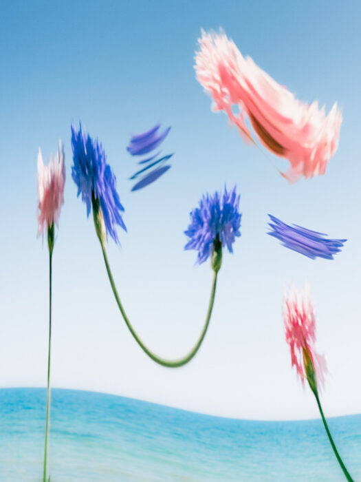 L'Officiel Roederer Collection