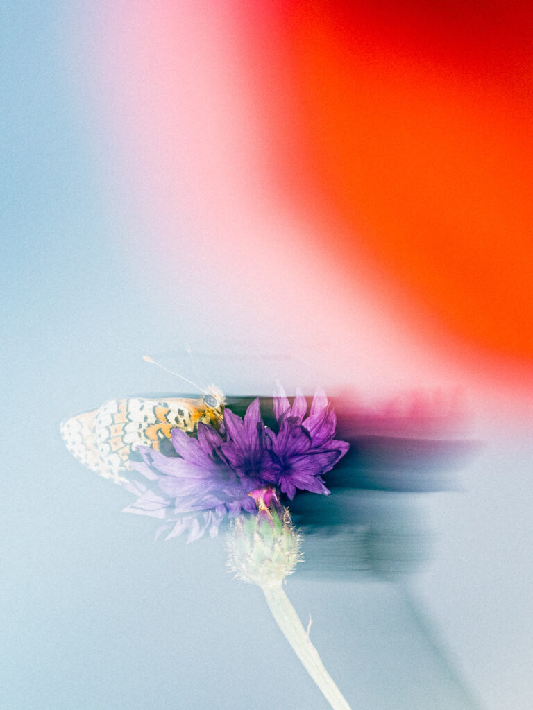 L'Officiel Roederer Collection