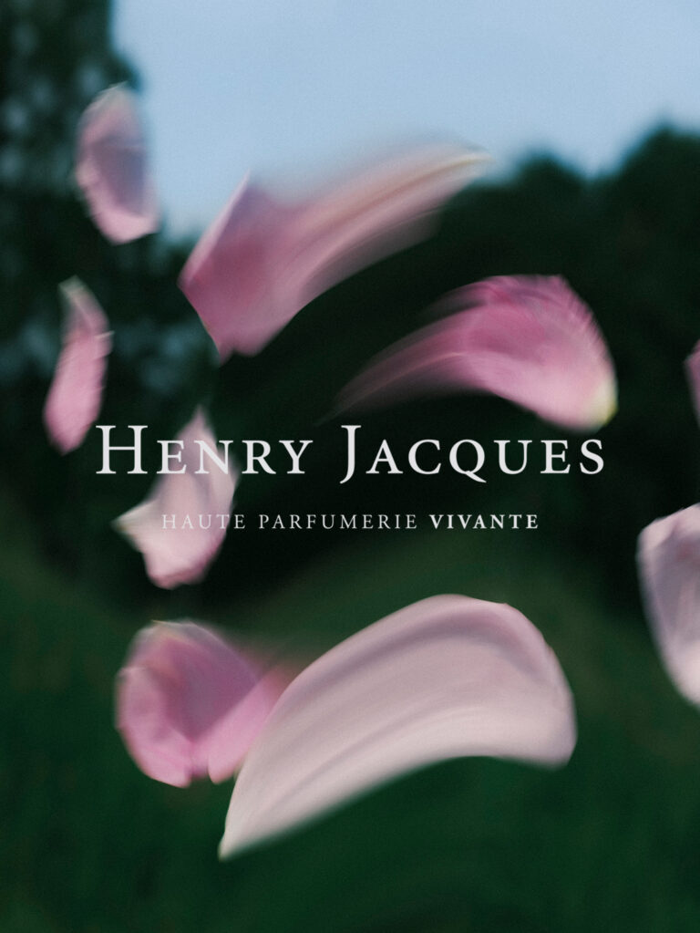 Henry Jacques – Harvest Roses