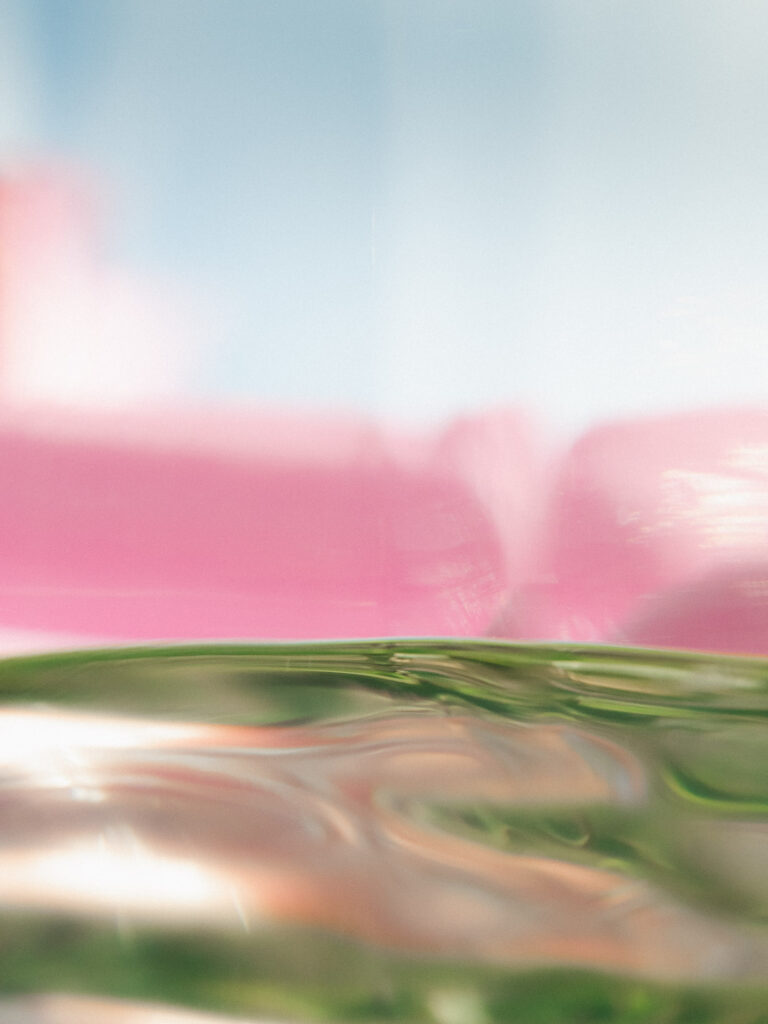 Henry Jacques. Harvest roses.