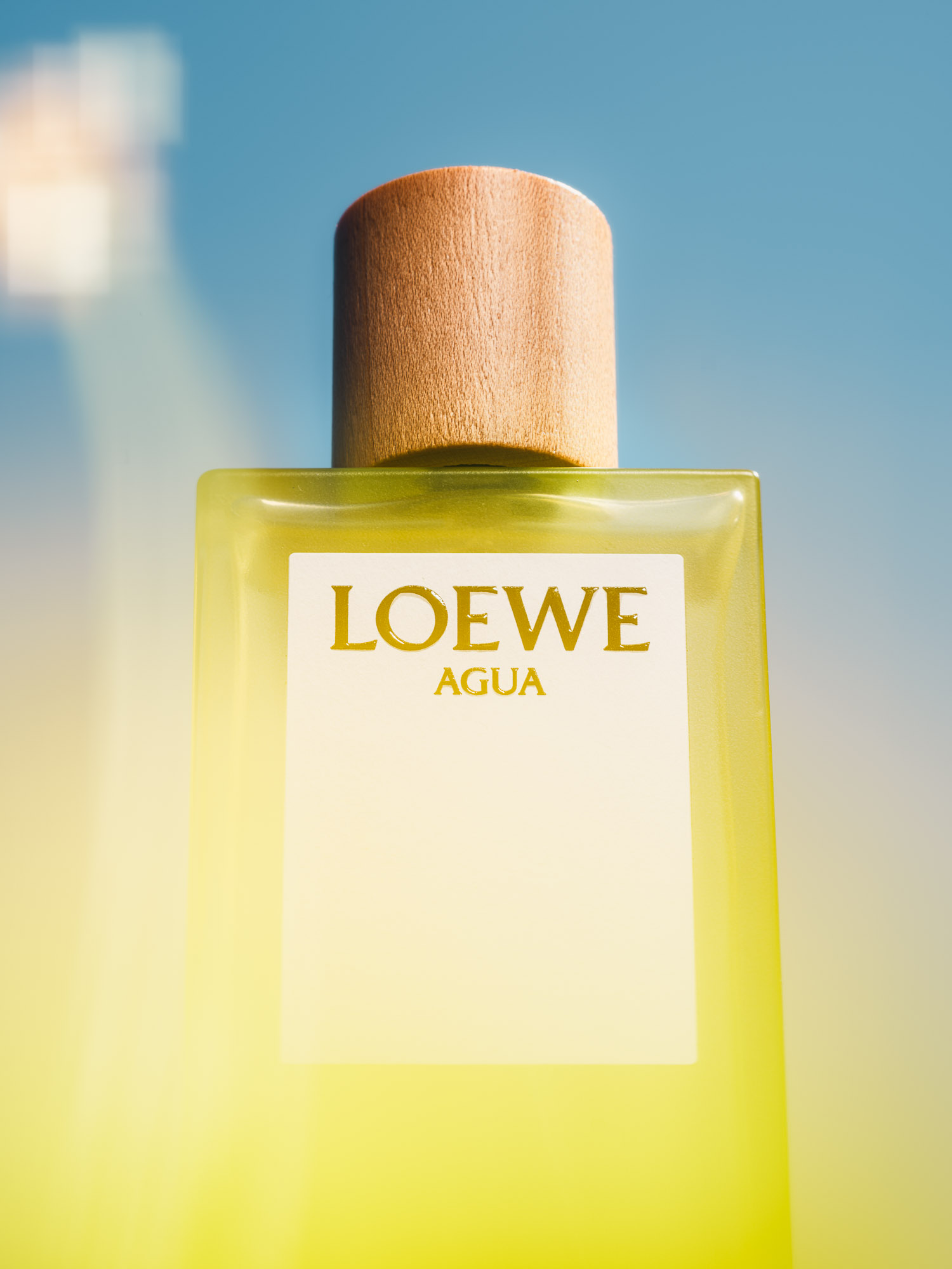 Loewe. Studies.