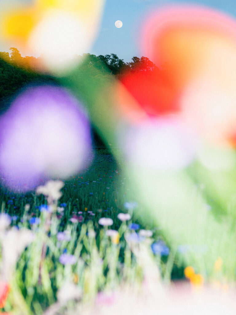 L'Officiel Roederer Collection