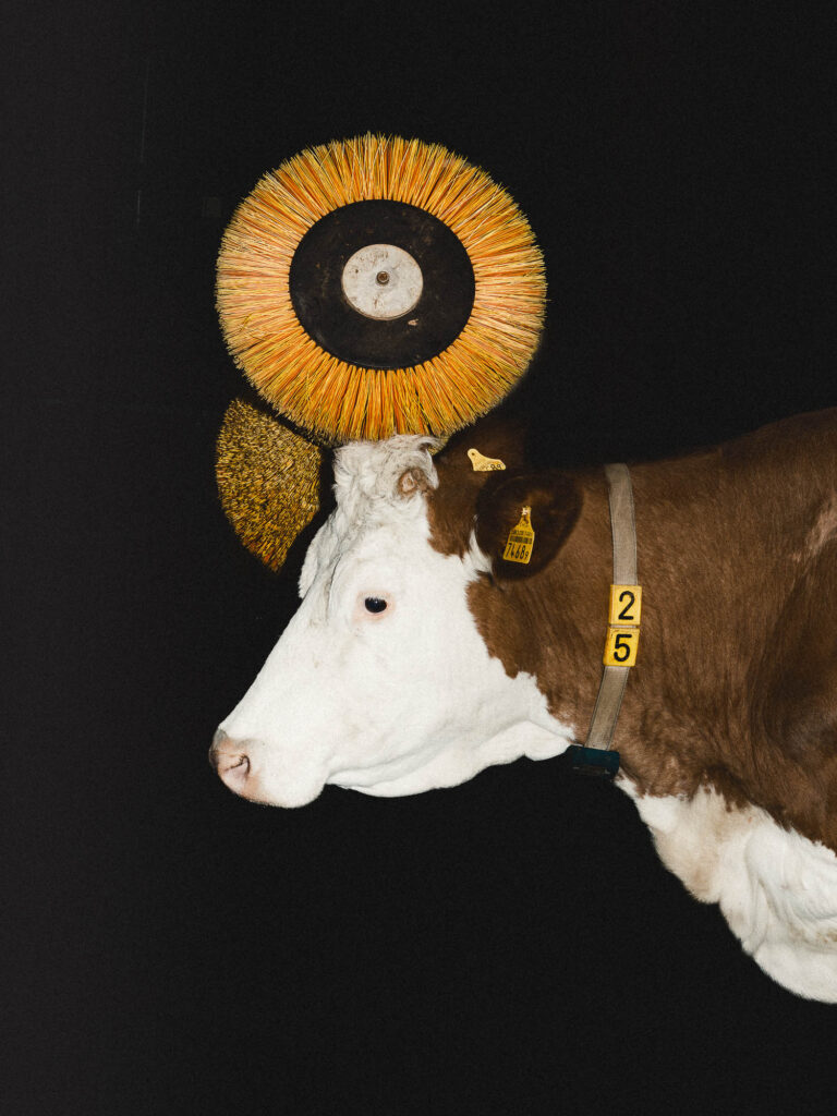 Gruyère AOP