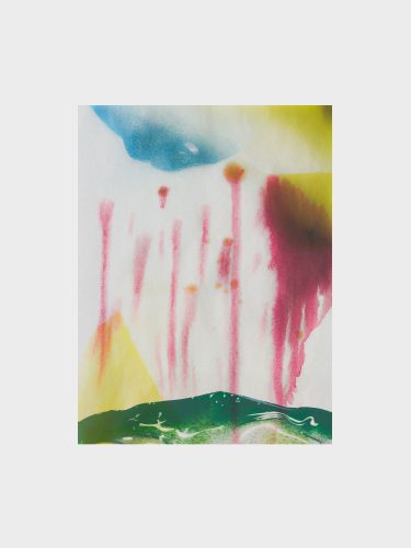 Fleurs imaginaires, Raisa Balona