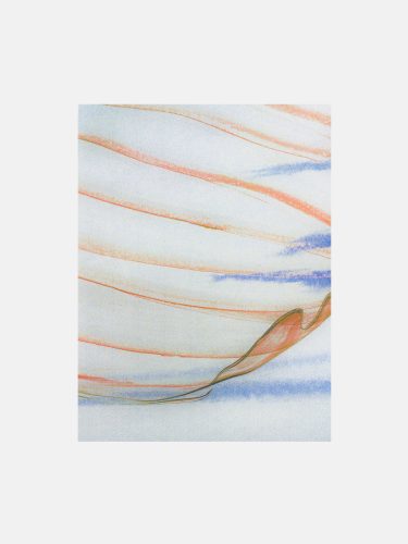 Fleurs imaginaires, Raisa Balona