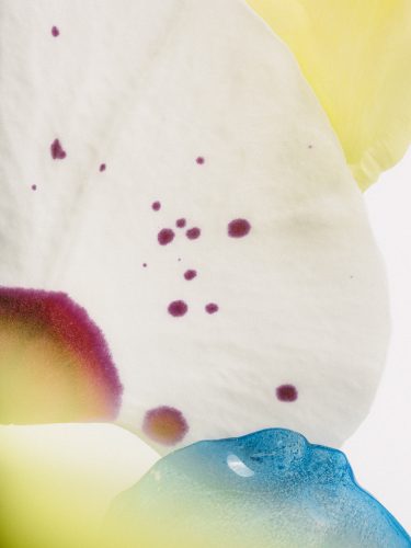 Fleurs imaginaires, Raisa Balona