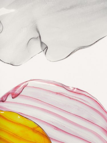 Fleurs imaginaires, Raisa Balona