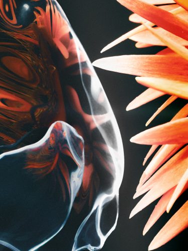 Fleurs imaginaires, Raisa Balona