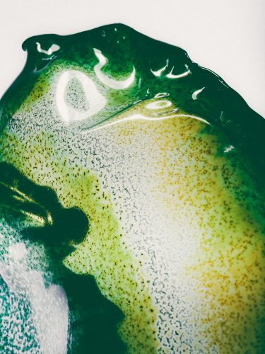 Fleurs imaginaires, Raisa Balona