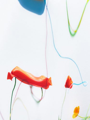 L'Officiel Roederer Collection