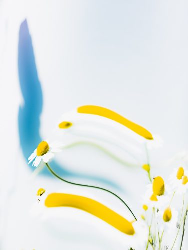 domaines-ott-etienne-francey-10-9841