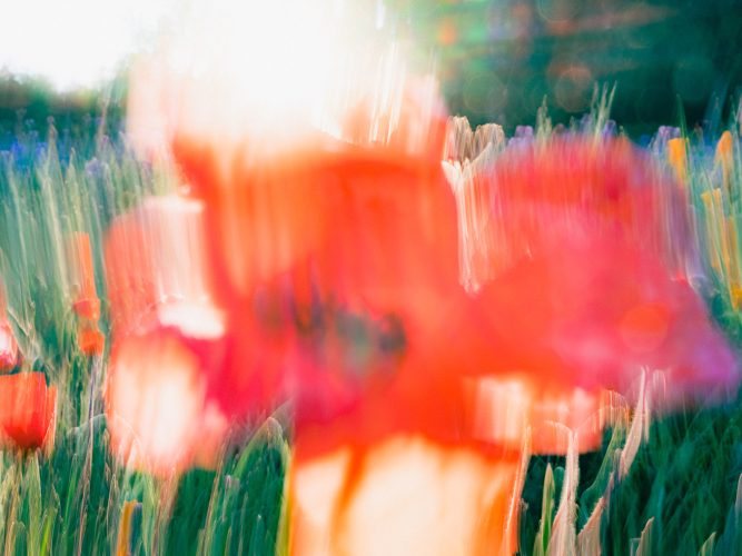 domaines-ott-etienne-francey-12-0716