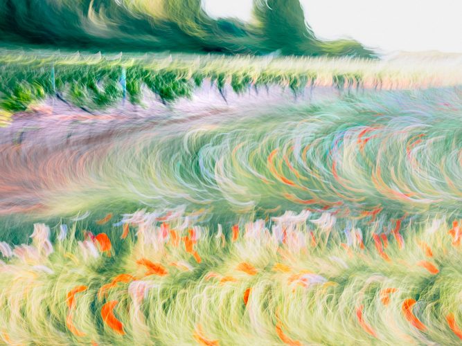 domaines-ott-etienne-francey-15-1078