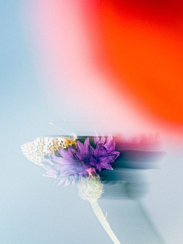 L'Officiel Roederer Collection