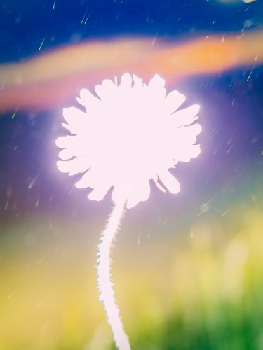 etienne-francey-0449