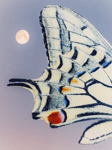 etienne-francey-1123-2