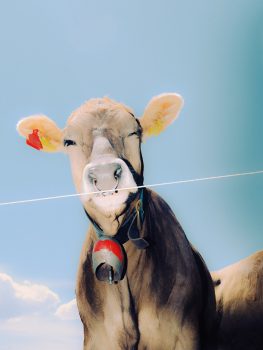 etienne-francey-36-5799