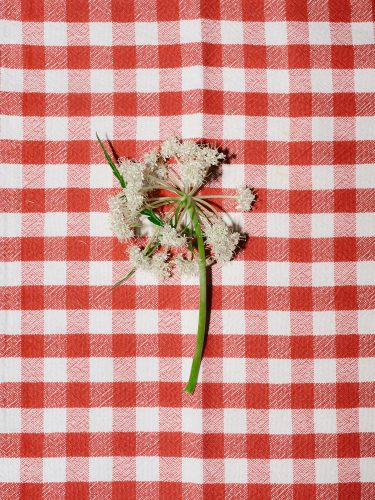 etienne-francey-4502