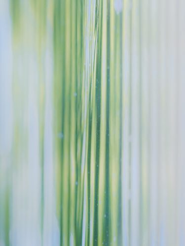 etienne-francey-4650