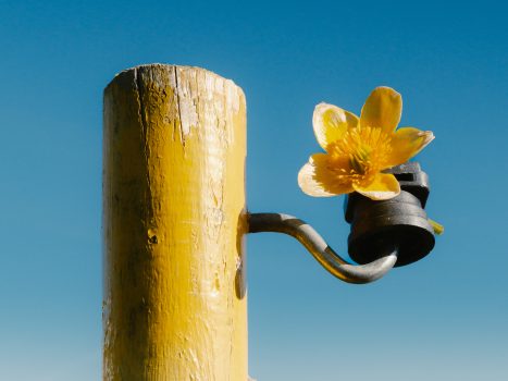 etienne-francey-4810-2