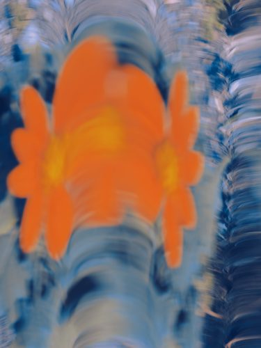 etienne-francey-5713-2