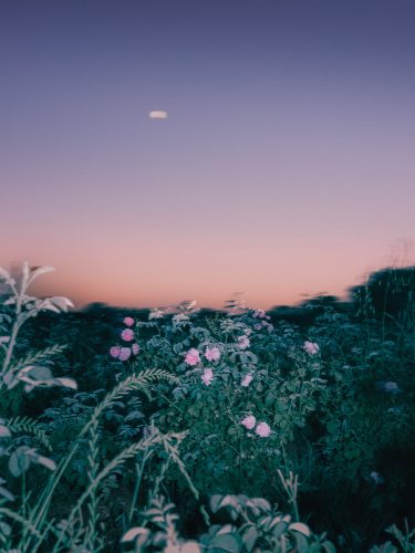 etienne-francey-6044