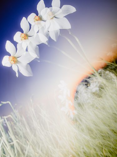 etienne-francey-7440-3