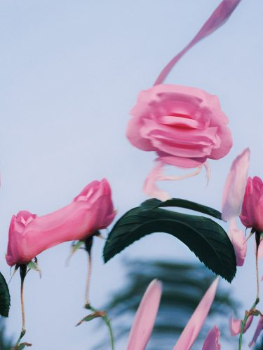 etienne-francey-7877