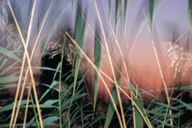 etienne-francey-8132