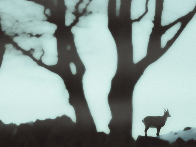 etienne-francey-8805-3