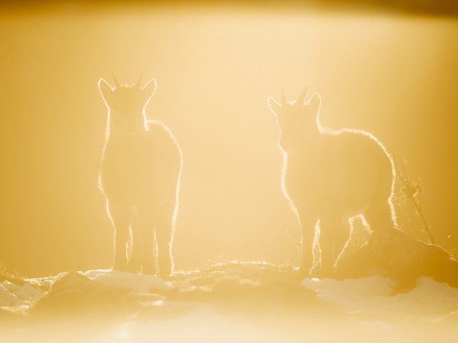 etienne-francey-8920