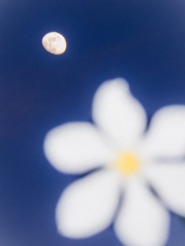 etienne-francey-9216-2