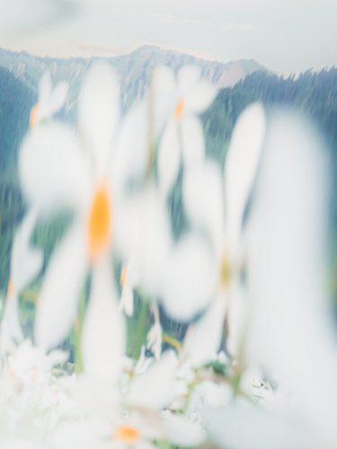 etienne-francey-9657