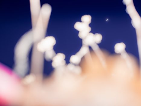 etude-florales-etienne-francey-21-7150