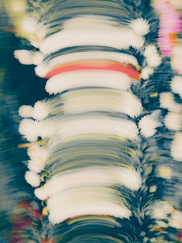 etude-florales-etienne-francey-23-6377