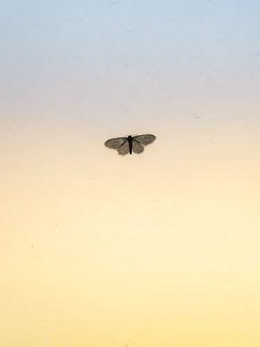 tritium-etienne-francey-11-5890