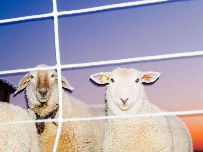 tritium-etienne-francey-13-8087